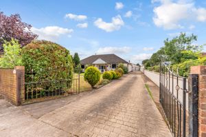 Photo 44- click for photo gallery